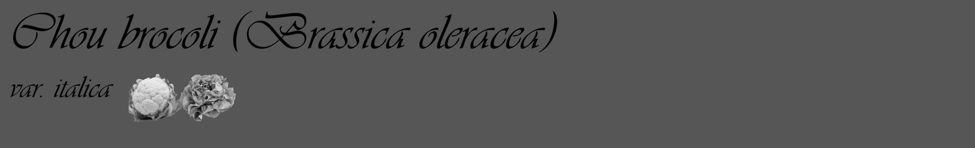 Étiquette de : Brassica oleracea var. italica - format c - style noire45_basique_basiqueviv avec comestibilité simplifiée