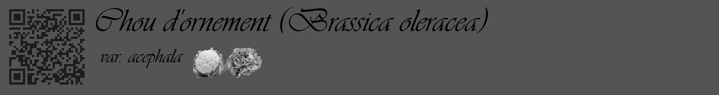 Étiquette de : Brassica oleracea var. acephala - format c - style noire30_basique_basiqueviv avec qrcode et comestibilité simplifiée