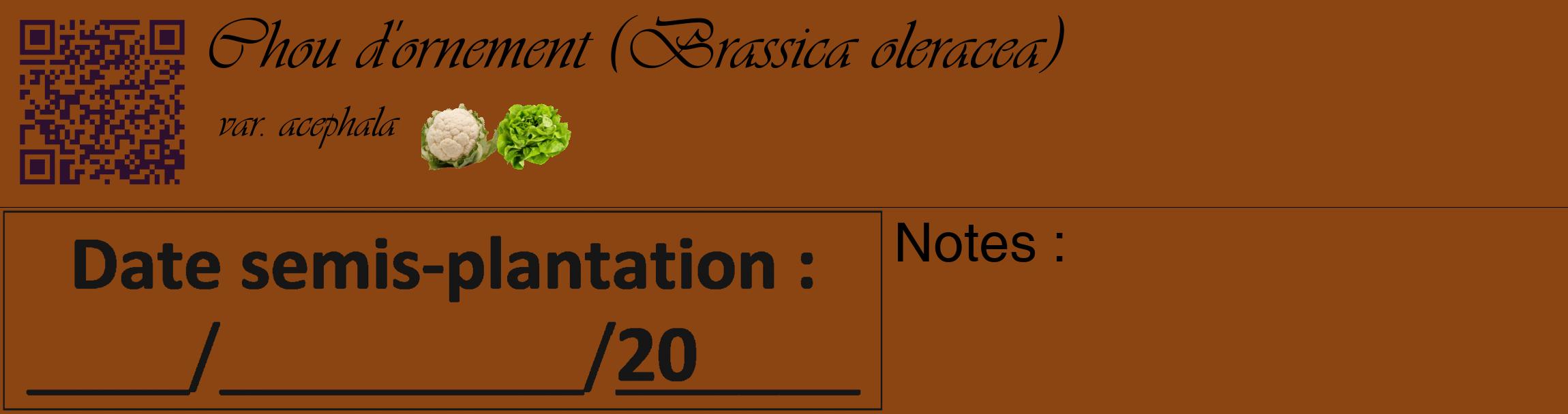 Étiquette de : Brassica oleracea var. acephala - format c - style noire30_basique_basiqueviv avec qrcode et comestibilité simplifiée