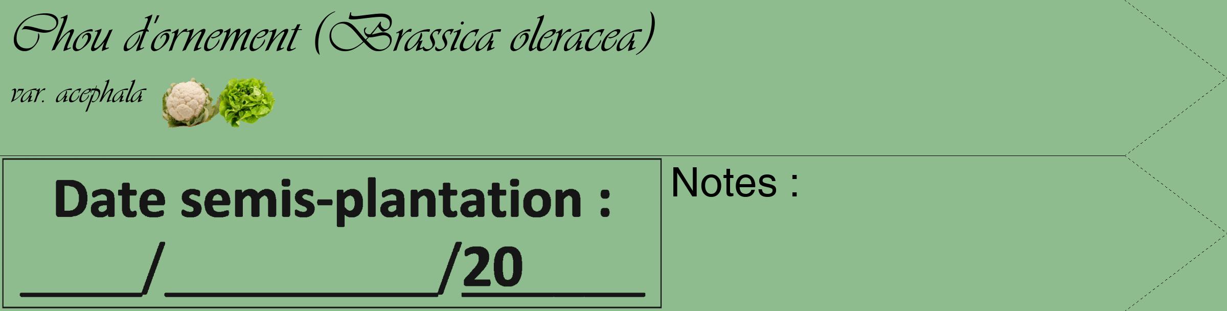 Étiquette de : Brassica oleracea var. acephala - format c - style noire13_simple_simpleviv avec comestibilité simplifiée