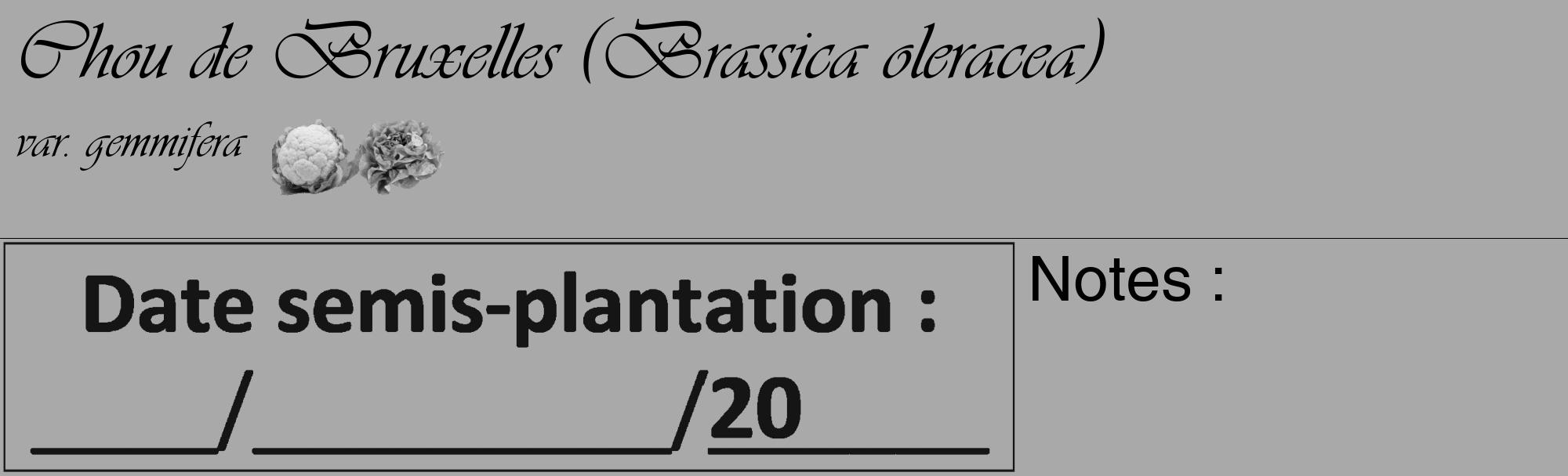 Étiquette de : Brassica oleracea var. gemmifera - format c - style noire13_basique_basiqueviv avec comestibilité simplifiée