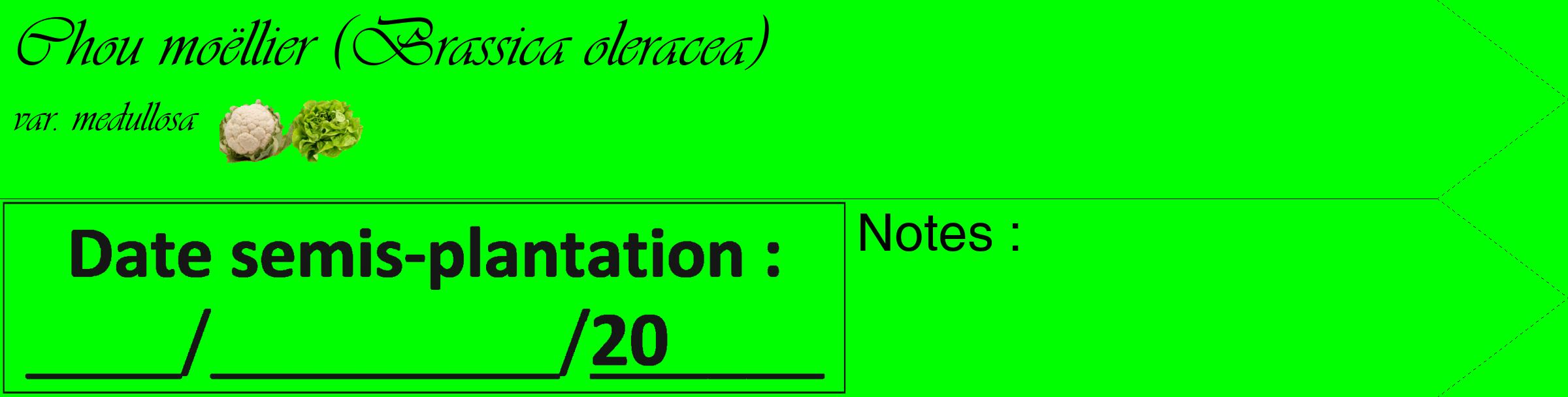 Étiquette de : Brassica oleracea var. medullosa - format c - style noire16_simple_simpleviv avec comestibilité simplifiée