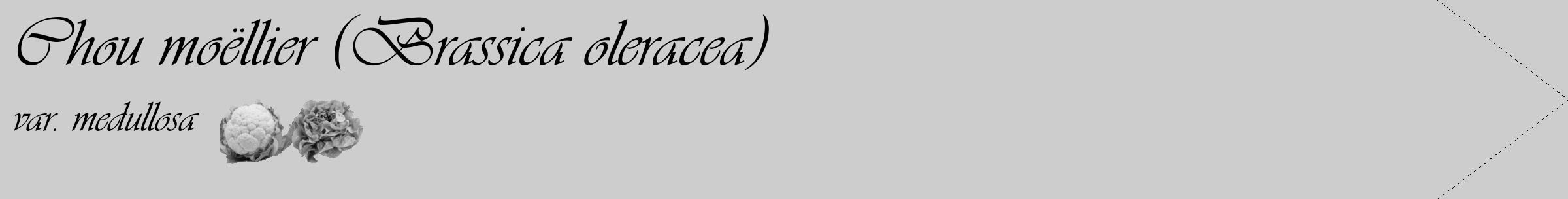 Étiquette de : Brassica oleracea var. medullosa - format c - style noire41_simple_simpleviv avec comestibilité simplifiée