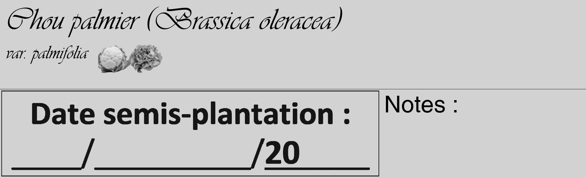 Étiquette de : Brassica oleracea var. palmifolia - format c - style noire14_basique_basiqueviv avec comestibilité simplifiée