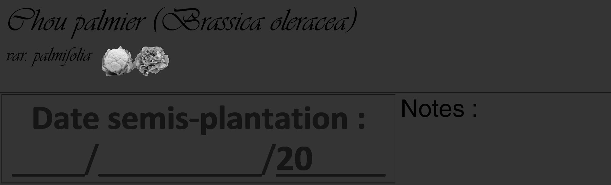 Étiquette de : Brassica oleracea var. palmifolia - format c - style noire46_basique_basiqueviv avec comestibilité simplifiée