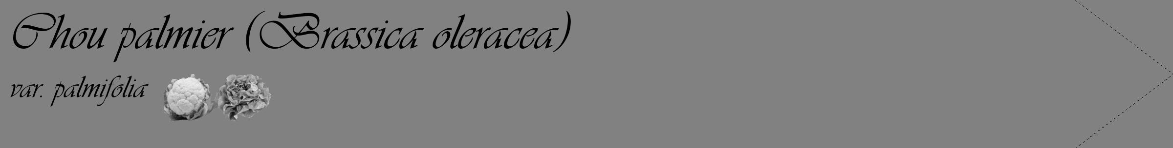 Étiquette de : Brassica oleracea var. palmifolia - format c - style noire50_simple_simpleviv avec comestibilité simplifiée