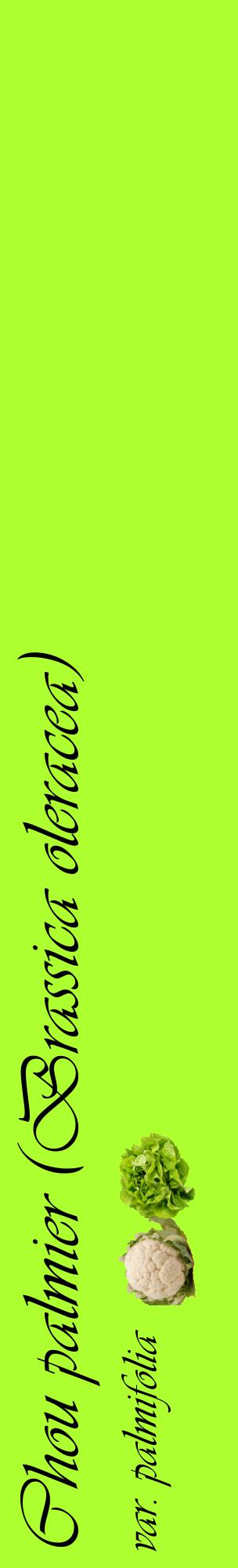 Étiquette de : Brassica oleracea var. palmifolia - format c - style noire17_basiqueviv avec comestibilité simplifiée