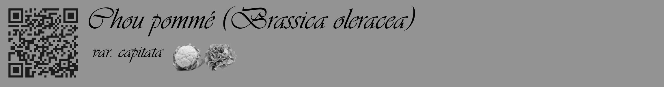 Étiquette de : Brassica oleracea var. capitata - format c - style noire44_basique_basiqueviv avec qrcode et comestibilité simplifiée