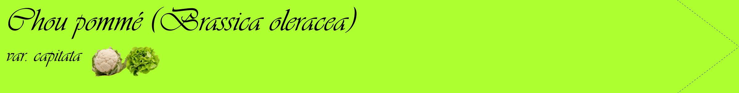 Étiquette de : Brassica oleracea var. capitata - format c - style noire17simple_basique_basiqueviv avec comestibilité simplifiée