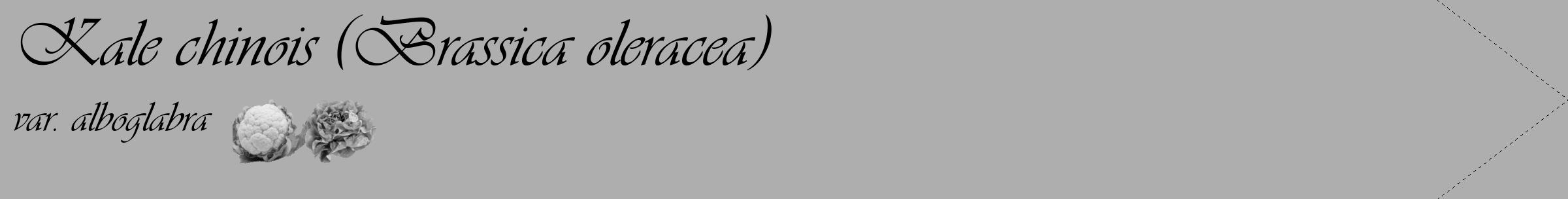 Étiquette de : Brassica oleracea var. alboglabra - format c - style noire53_simple_simpleviv avec comestibilité simplifiée