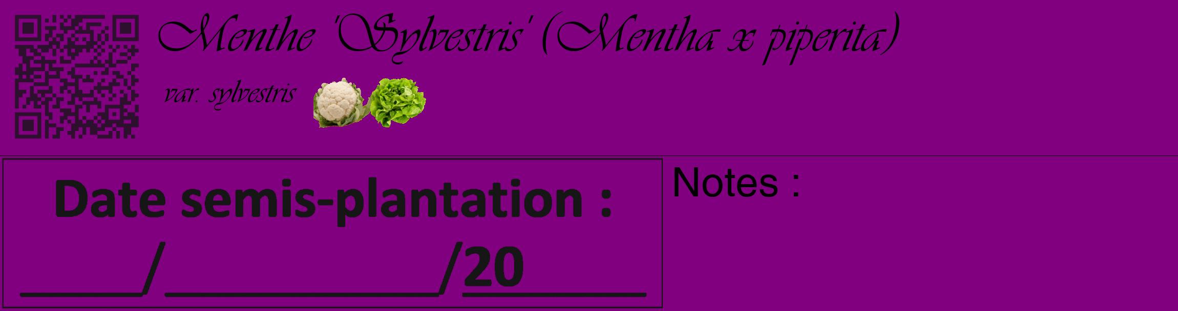 Étiquette de : Mentha x piperita var. sylvestris - format c - style noire46_basique_basiqueviv avec qrcode et comestibilité simplifiée