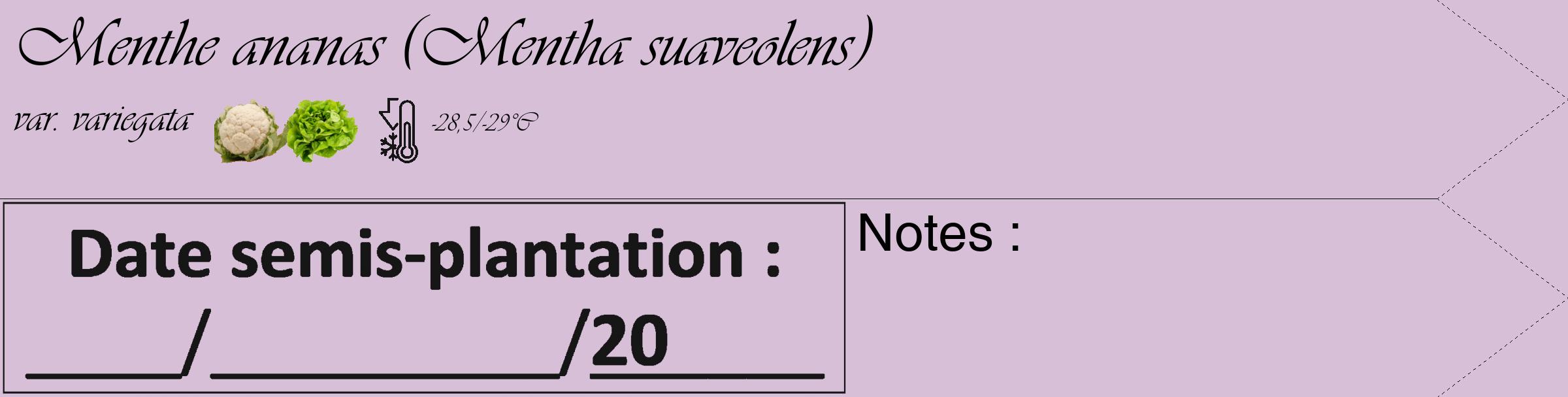 Étiquette de : Mentha suaveolens var. variegata - format c - style noire54_simple_simpleviv avec comestibilité simplifiée