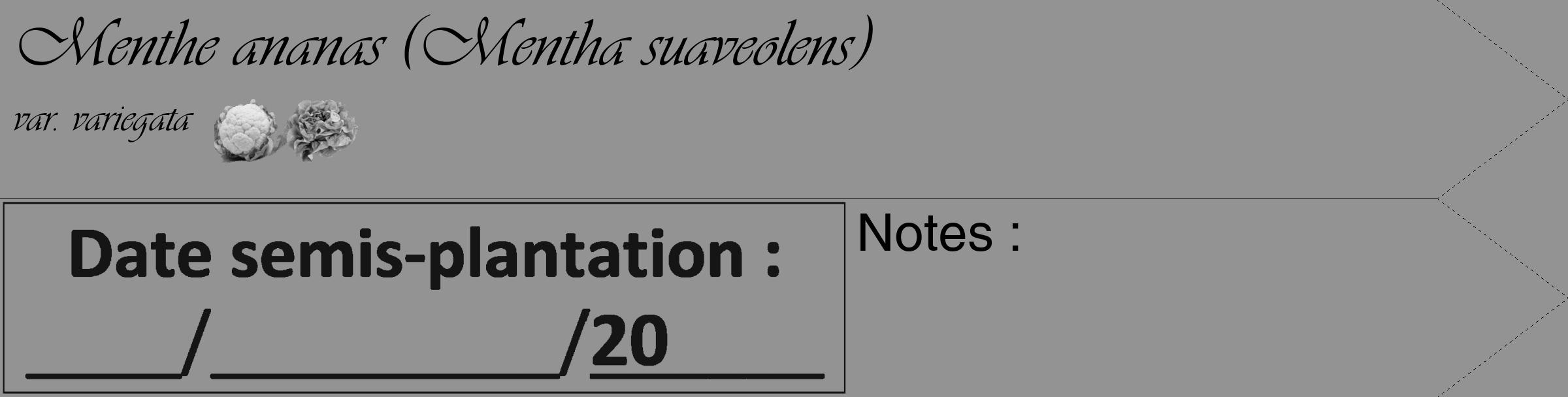 Étiquette de : Mentha suaveolens var. variegata - format c - style noire44simple_basique_basiqueviv avec comestibilité simplifiée