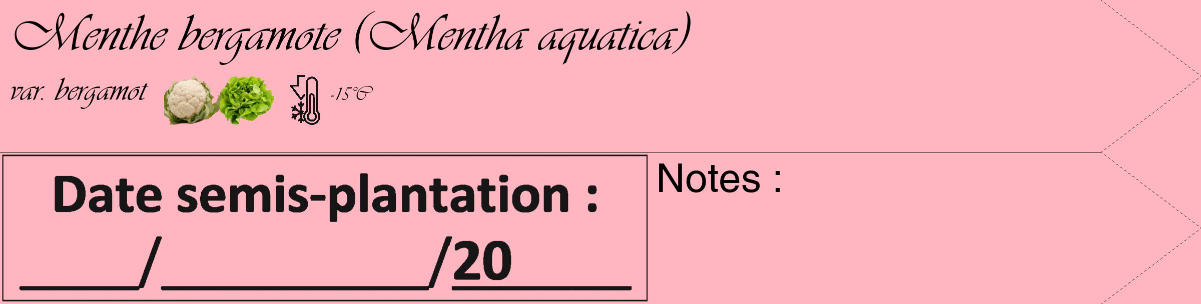 Étiquette de : Mentha aquatica var. bergamot - format c - style noire41_simple_simpleviv avec comestibilité simplifiée