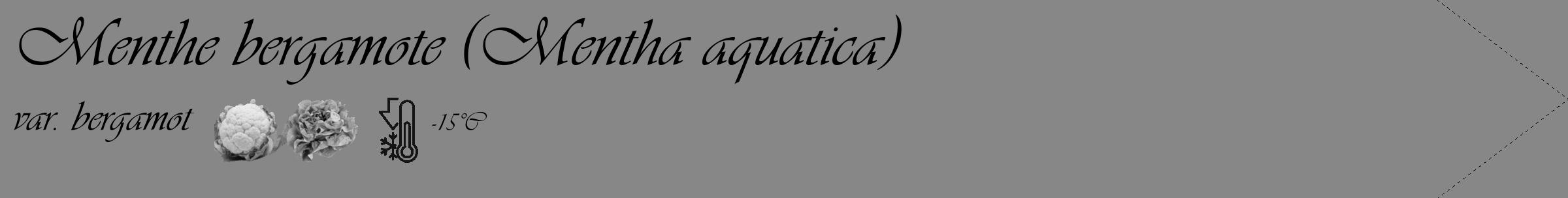 Étiquette de : Mentha aquatica var. bergamot - format c - style noire12_simple_simpleviv avec comestibilité simplifiée