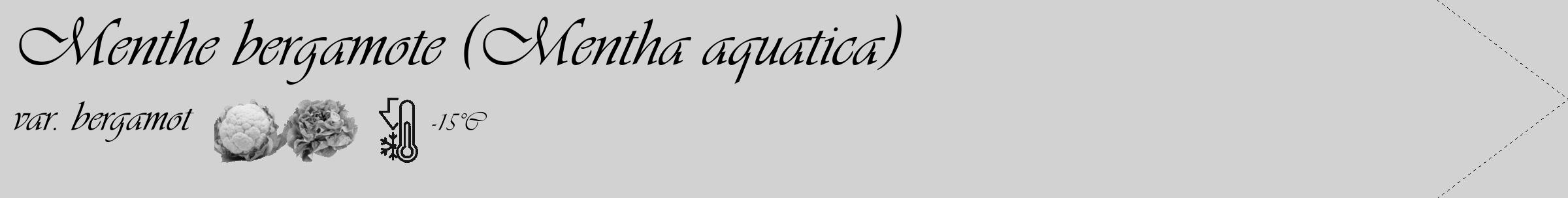 Étiquette de : Mentha aquatica var. bergamot - format c - style noire14_simple_simpleviv avec comestibilité simplifiée