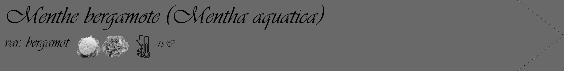 Étiquette de : Mentha aquatica var. bergamot - format c - style noire51_simple_simpleviv avec comestibilité simplifiée
