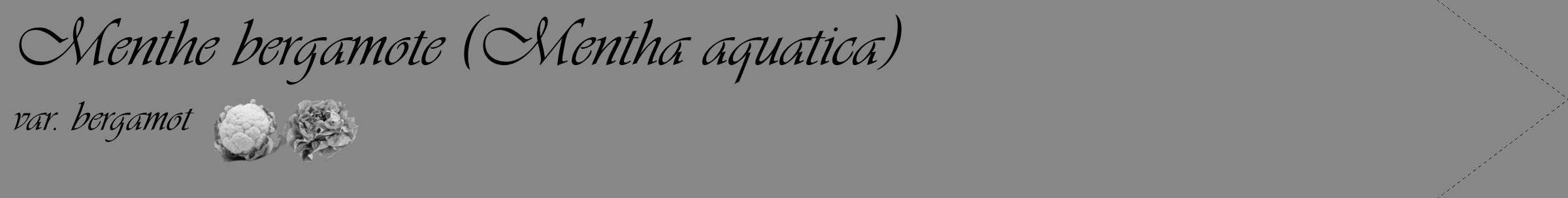 Étiquette de : Mentha aquatica var. bergamot - format c - style noire12_simple_simpleviv avec comestibilité simplifiée