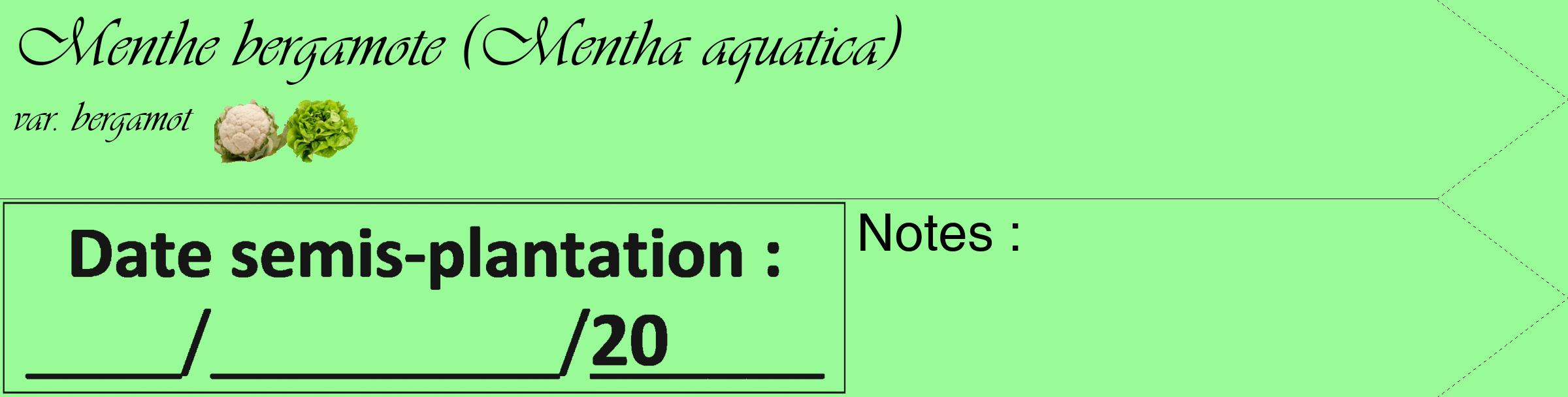 Étiquette de : Mentha aquatica var. bergamot - format c - style noire14_simple_simpleviv avec comestibilité simplifiée