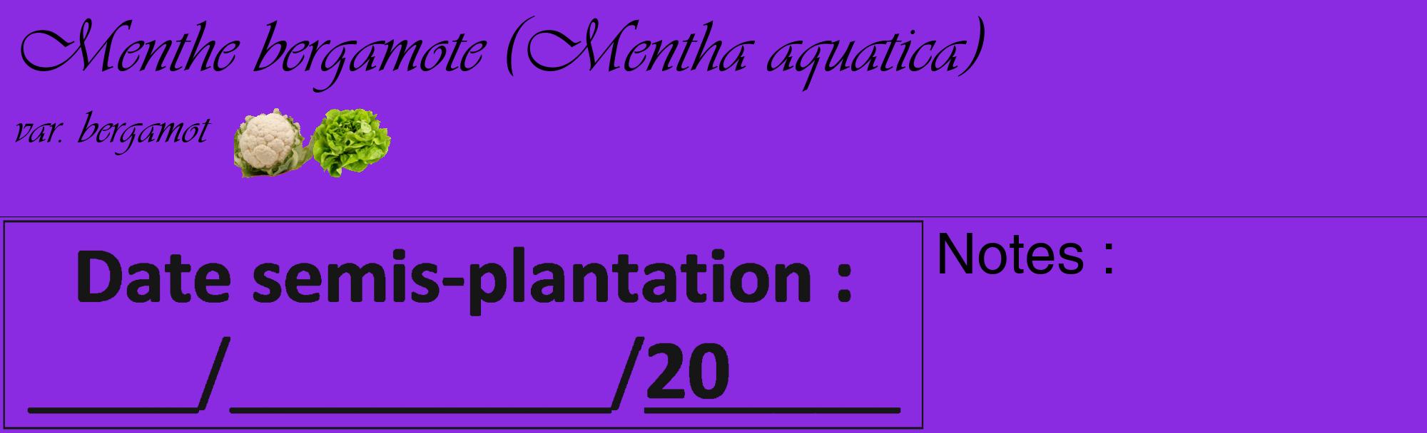 Étiquette de : Mentha aquatica var. bergamot - format c - style noire49_basique_basiqueviv avec comestibilité simplifiée