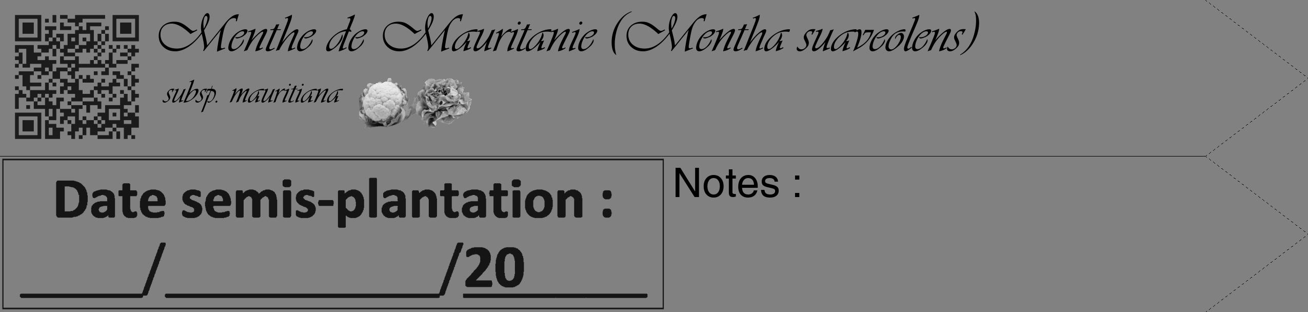 Étiquette de : Mentha suaveolens subsp. mauritiana - format c - style noire50simple_basique_basiqueviv avec qrcode et comestibilité simplifiée