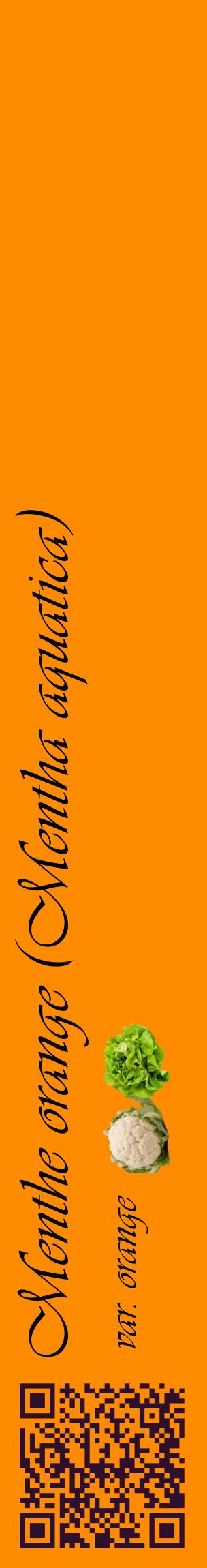 Étiquette de : Mentha aquatica var. orange - format c - style noire23_basiqueviv avec qrcode et comestibilité simplifiée