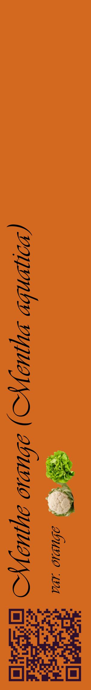 Étiquette de : Mentha aquatica var. orange - format c - style noire31_basiqueviv avec qrcode et comestibilité simplifiée