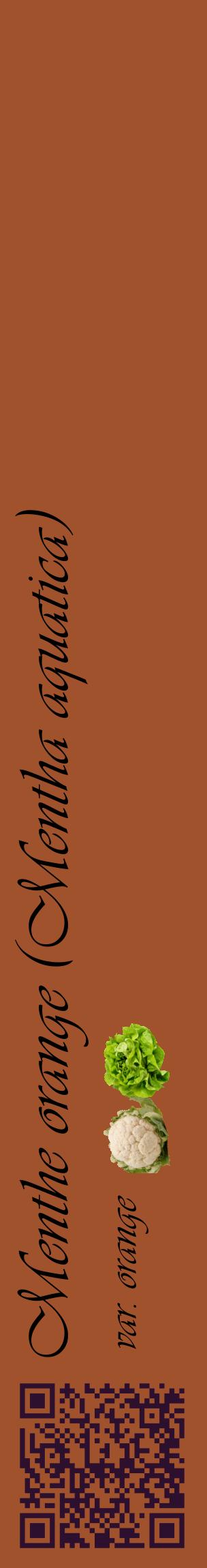 Étiquette de : Mentha aquatica var. orange - format c - style noire32_basiqueviv avec qrcode et comestibilité simplifiée
