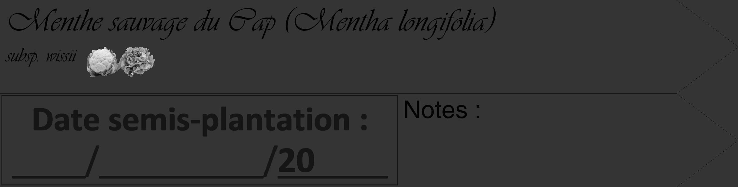 Étiquette de : Mentha longifolia subsp. wissii - format c - style noire46simple_basique_basiqueviv avec comestibilité simplifiée