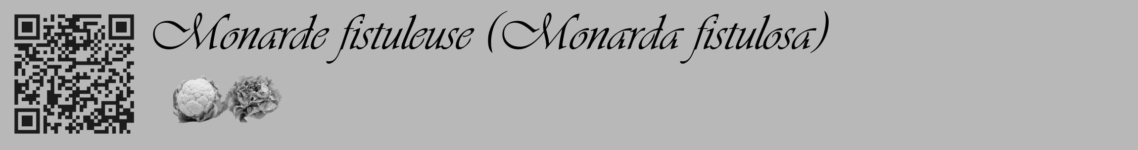 Étiquette de : Monarda fistulosa - format c - style noire39_basique_basiqueviv avec qrcode et comestibilité simplifiée