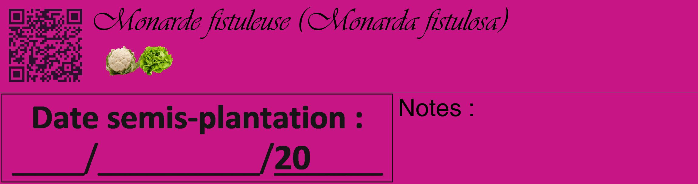 Étiquette de : Monarda fistulosa - format c - style noire45_basique_basiqueviv avec qrcode et comestibilité simplifiée