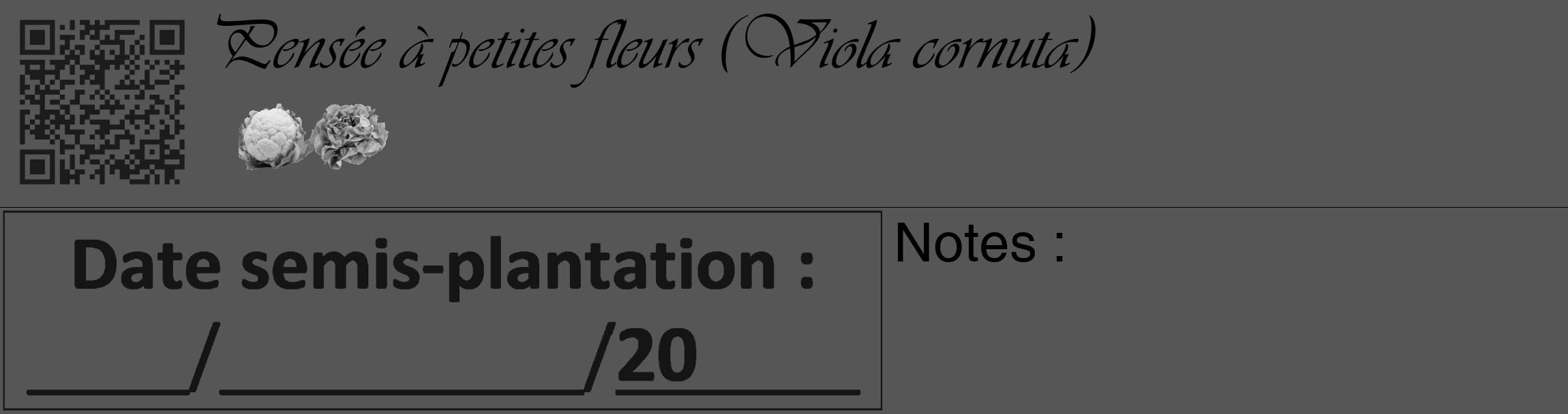 Étiquette de : Viola cornuta - format c - style noire45_basique_basiqueviv avec qrcode et comestibilité simplifiée