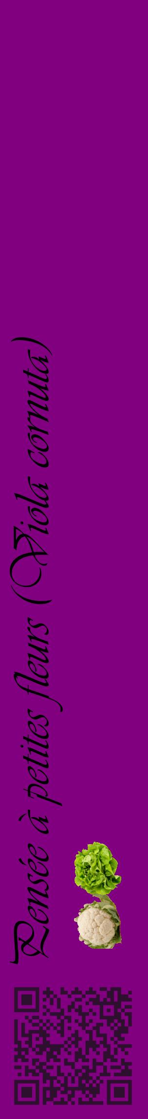 Étiquette de : Viola cornuta - format c - style noire46_basiqueviv avec qrcode et comestibilité simplifiée