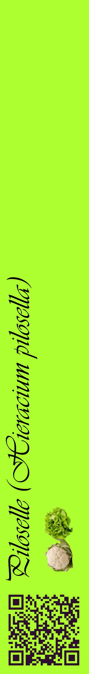 Étiquette de : Hieracium pilosella - format c - style noire17_basiqueviv avec qrcode et comestibilité simplifiée