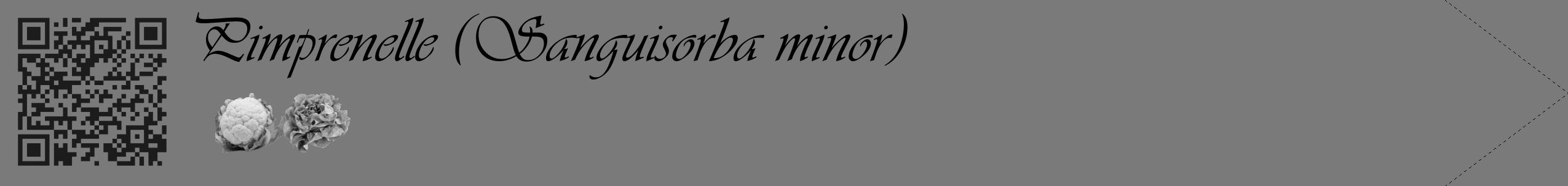 Étiquette de : Sanguisorba minor - format c - style noire3simple_basique_basiqueviv avec qrcode et comestibilité simplifiée