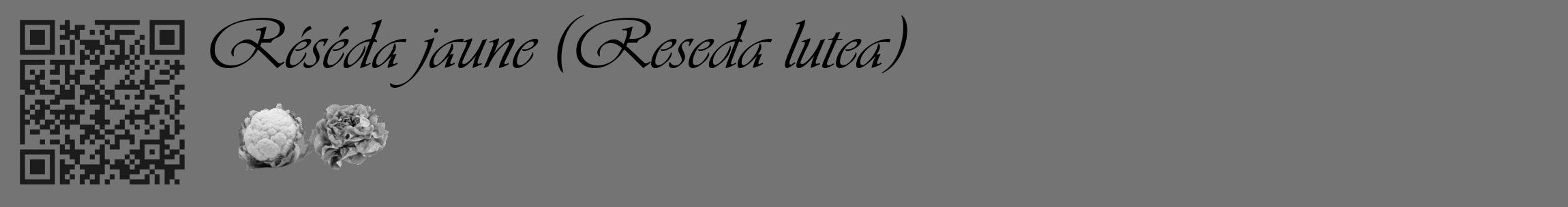 Étiquette de : Reseda lutea - format c - style noire26_basique_basiqueviv avec qrcode et comestibilité simplifiée