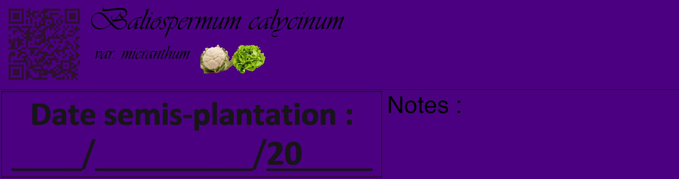 Étiquette de : Baliospermum calycinum var. micranthum - format c - style noire47_basique_basiqueviv avec qrcode et comestibilité simplifiée
