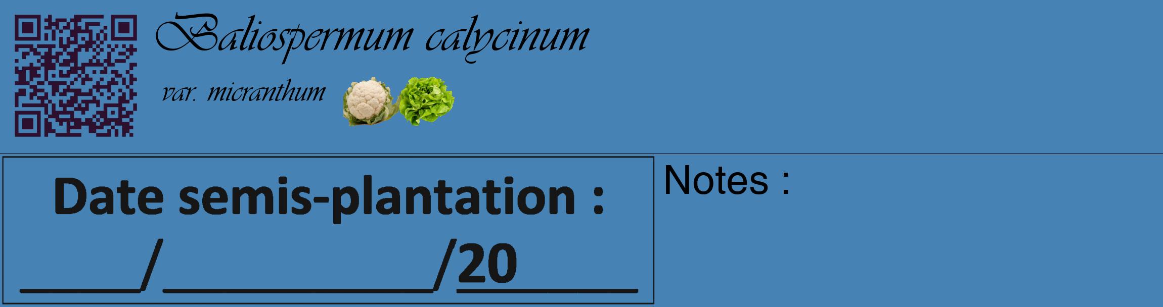 Étiquette de : Baliospermum calycinum var. micranthum - format c - style noire5_basique_basiqueviv avec qrcode et comestibilité simplifiée