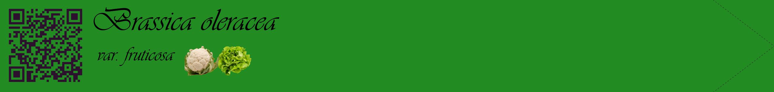 Étiquette de : Brassica oleracea var. fruticosa - format c - style noire10simple_basique_basiqueviv avec qrcode et comestibilité simplifiée