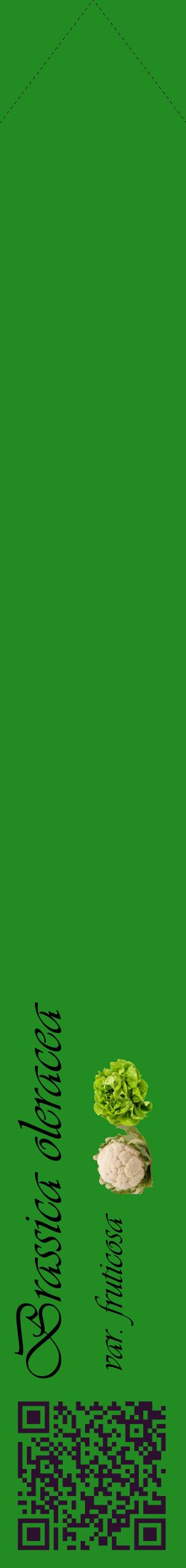 Étiquette de : Brassica oleracea var. fruticosa - format c - style noire10simple_basique_basiqueviv avec qrcode et comestibilité simplifiée - position verticale