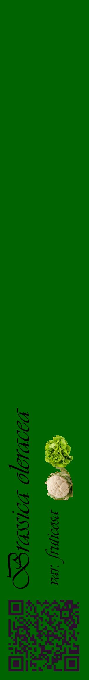 Étiquette de : Brassica oleracea var. fruticosa - format c - style noire8_basiqueviv avec qrcode et comestibilité simplifiée