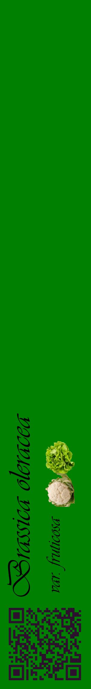 Étiquette de : Brassica oleracea var. fruticosa - format c - style noire9_basiqueviv avec qrcode et comestibilité simplifiée