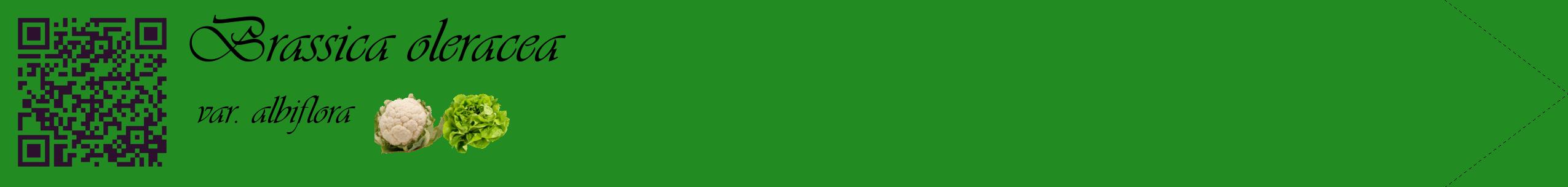 Étiquette de : Brassica oleracea var. albiflora - format c - style noire10simple_basique_basiqueviv avec qrcode et comestibilité simplifiée