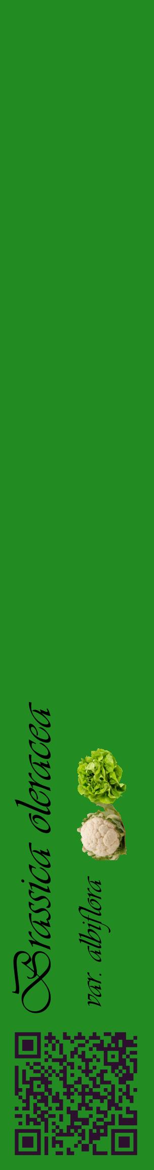 Étiquette de : Brassica oleracea var. albiflora - format c - style noire10_basiqueviv avec qrcode et comestibilité simplifiée