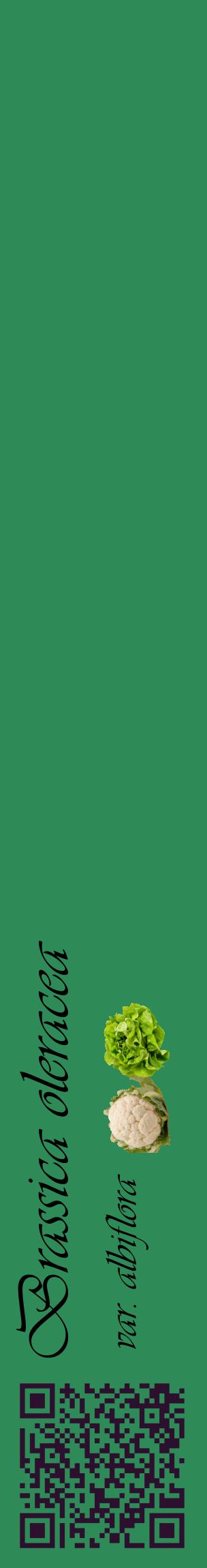 Étiquette de : Brassica oleracea var. albiflora - format c - style noire11_basiqueviv avec qrcode et comestibilité simplifiée