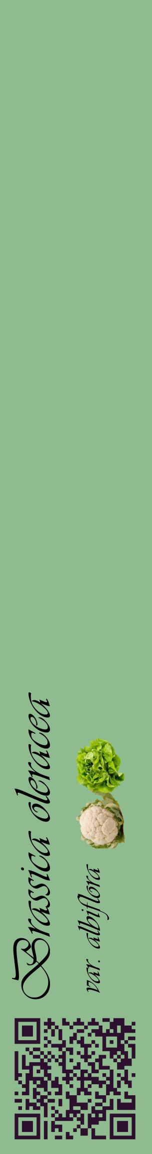 Étiquette de : Brassica oleracea var. albiflora - format c - style noire13_basiqueviv avec qrcode et comestibilité simplifiée