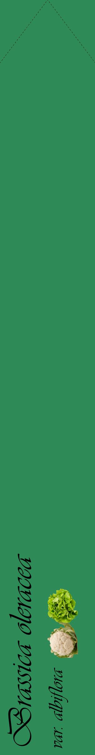 Étiquette de : Brassica oleracea var. albiflora - format c - style noire11_simpleviv avec comestibilité simplifiée