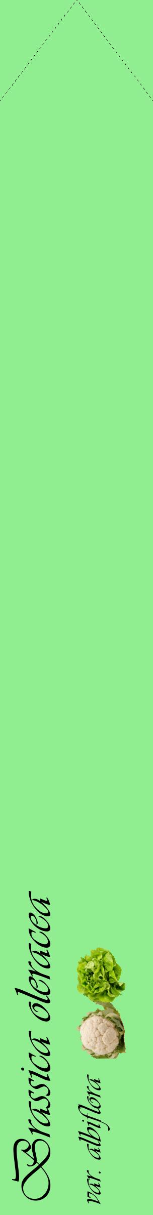 Étiquette de : Brassica oleracea var. albiflora - format c - style noire15_simpleviv avec comestibilité simplifiée