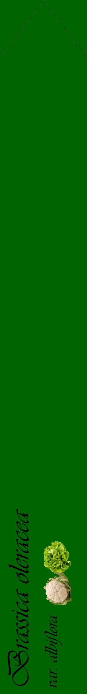 Étiquette de : Brassica oleracea var. albiflora - format c - style noire8_simpleviv avec comestibilité simplifiée