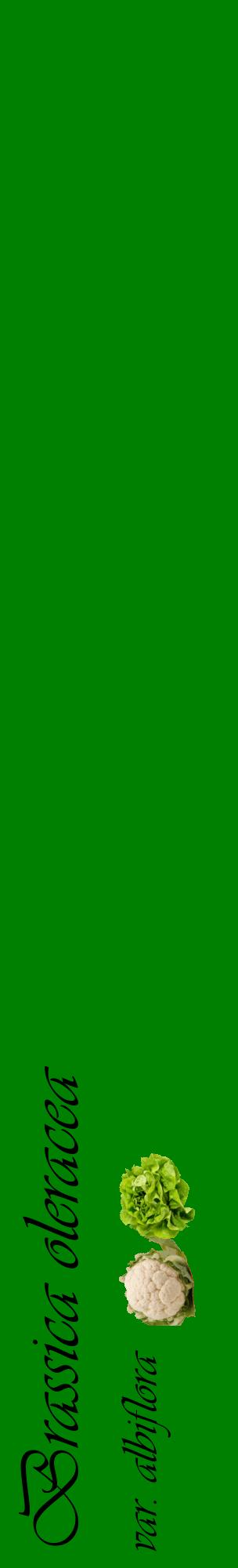 Étiquette de : Brassica oleracea var. albiflora - format c - style noire9_basiqueviv avec comestibilité simplifiée